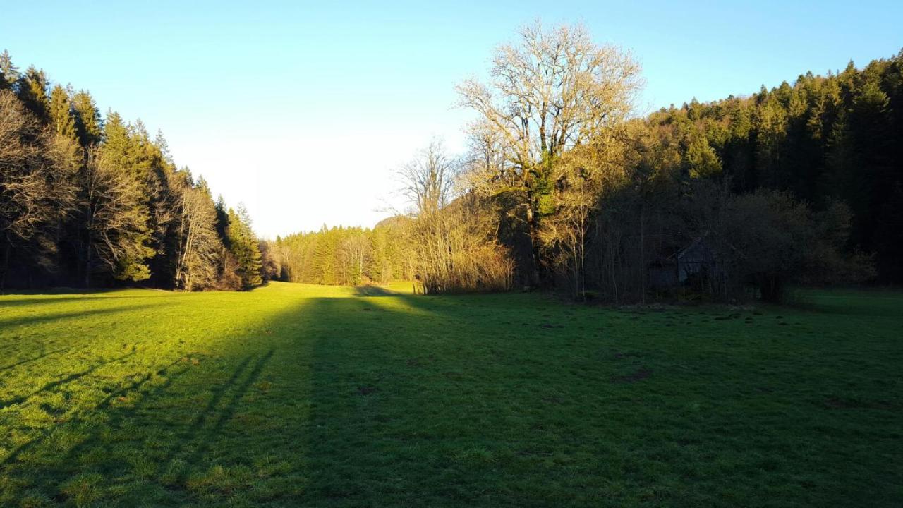 Aux Truites Bleues Hotel Fort-du-Plasne Buitenkant foto