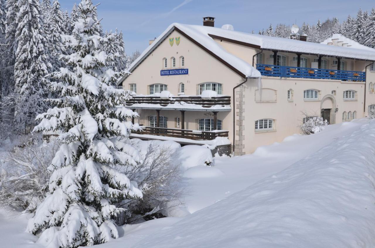 Aux Truites Bleues Hotel Fort-du-Plasne Buitenkant foto