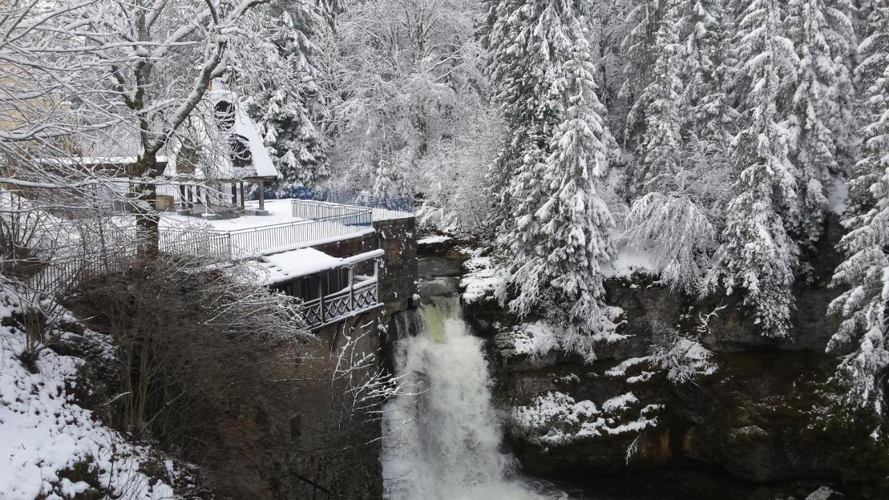 Aux Truites Bleues Hotel Fort-du-Plasne Buitenkant foto
